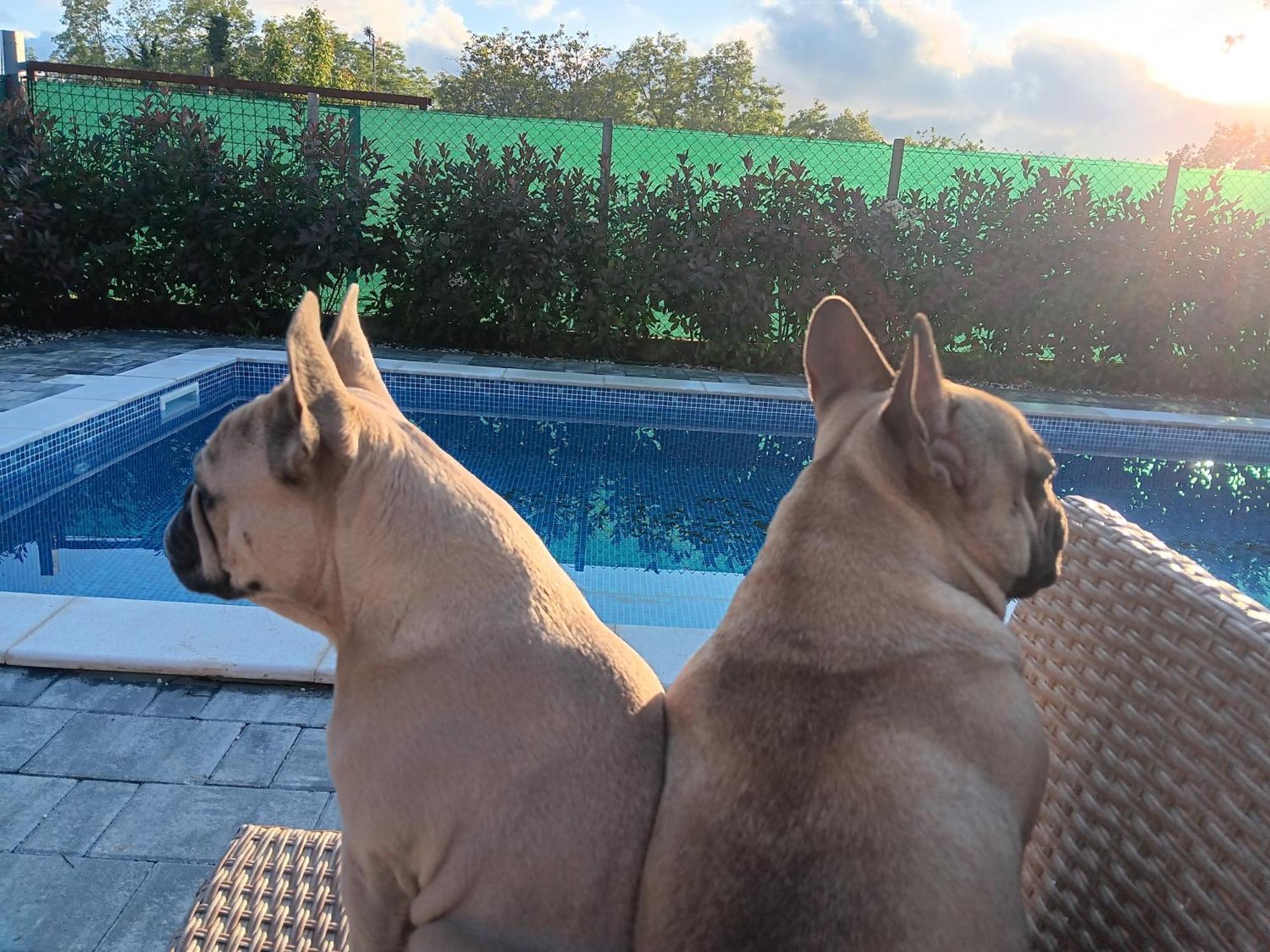Kuca Za Odmor Capella Villa Stuti Bagian luar foto